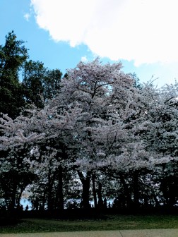 IMG_20180408_154628009