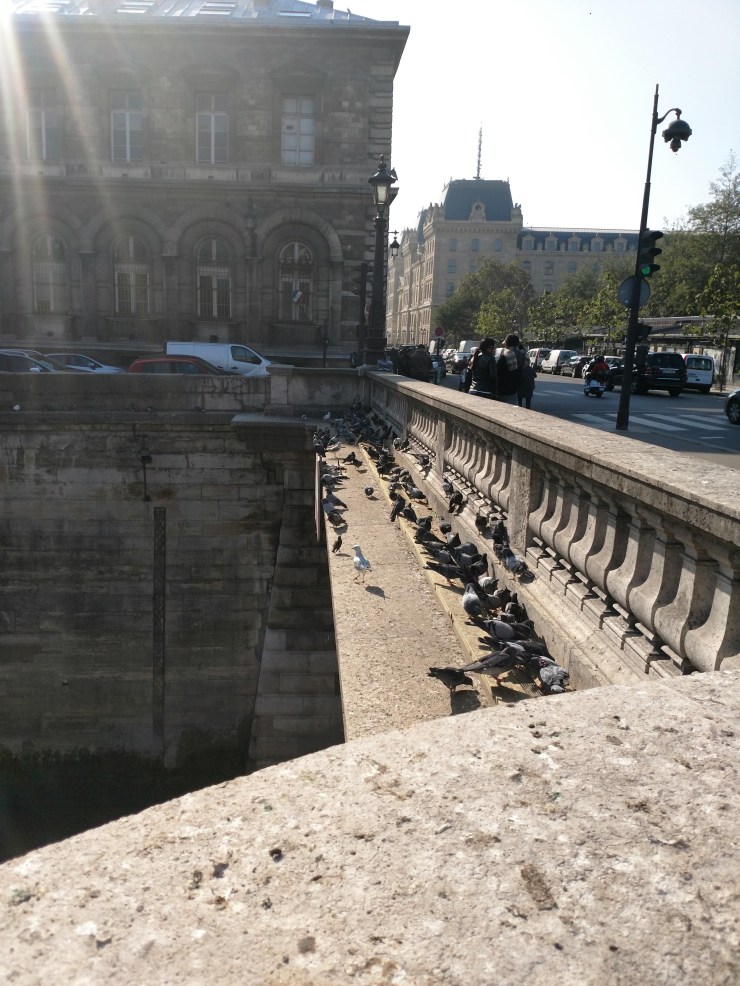 img_20181021_132826120