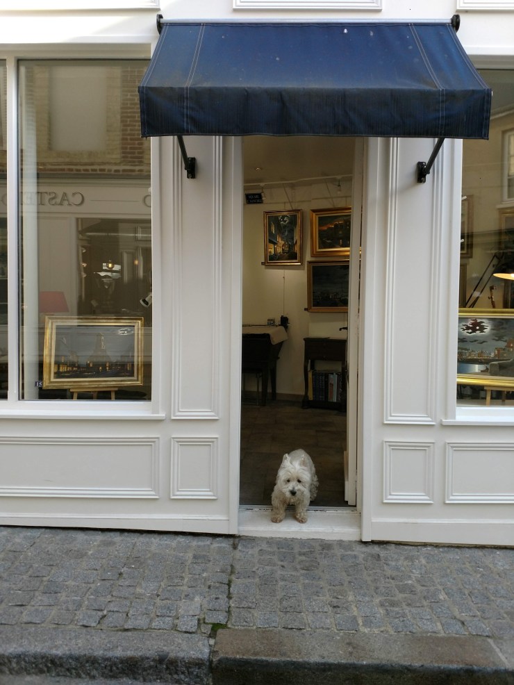 img_20181024_113558915