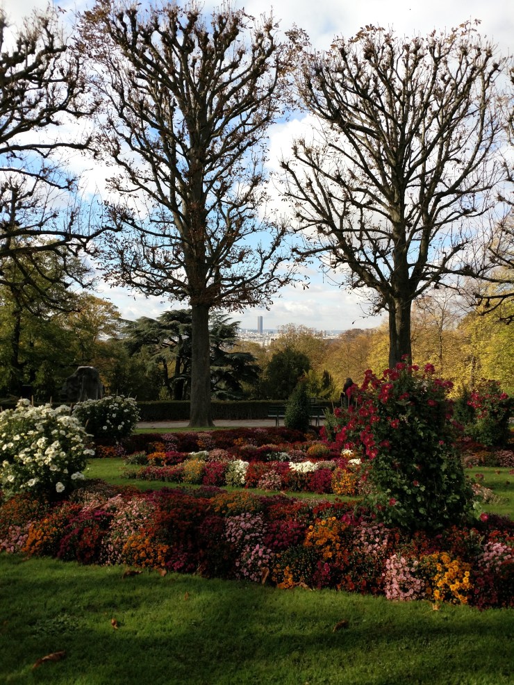 img_20181027_120217968